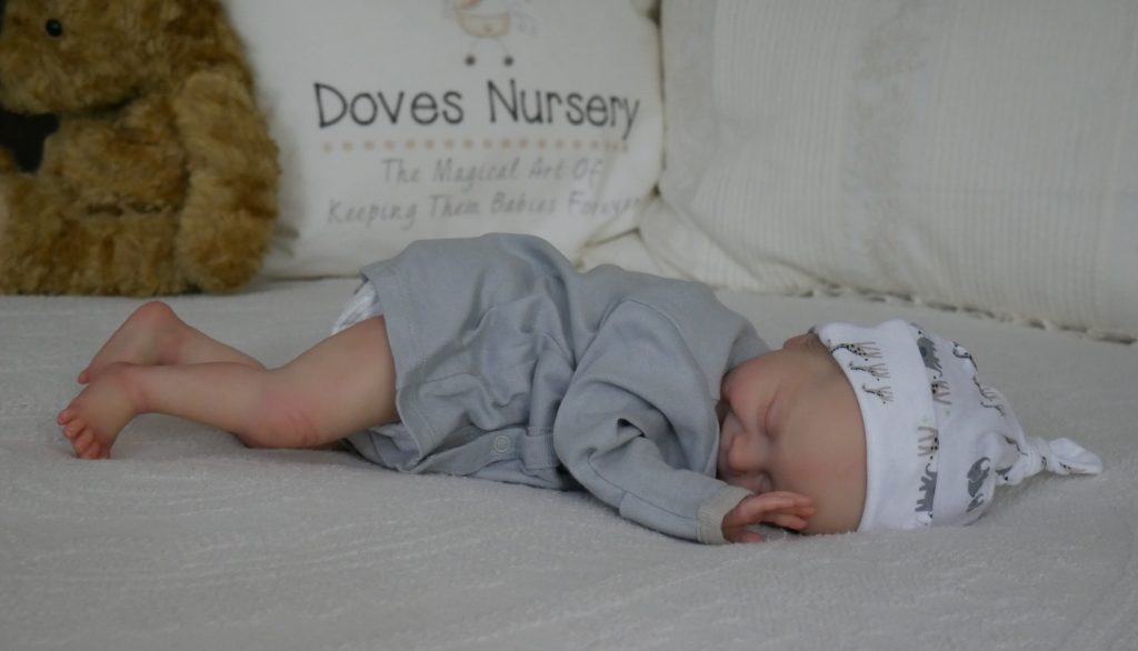 exceptional reborn nursery