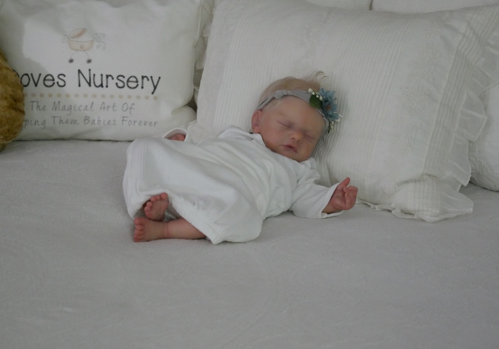 forever gorgeous reborn nursery